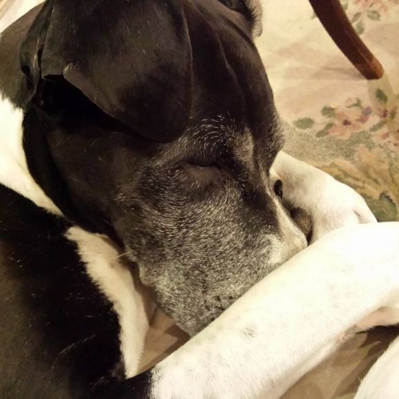 Meet your Posher, Amy - Picture 1 of 1